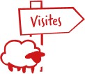 Un musée vivant
