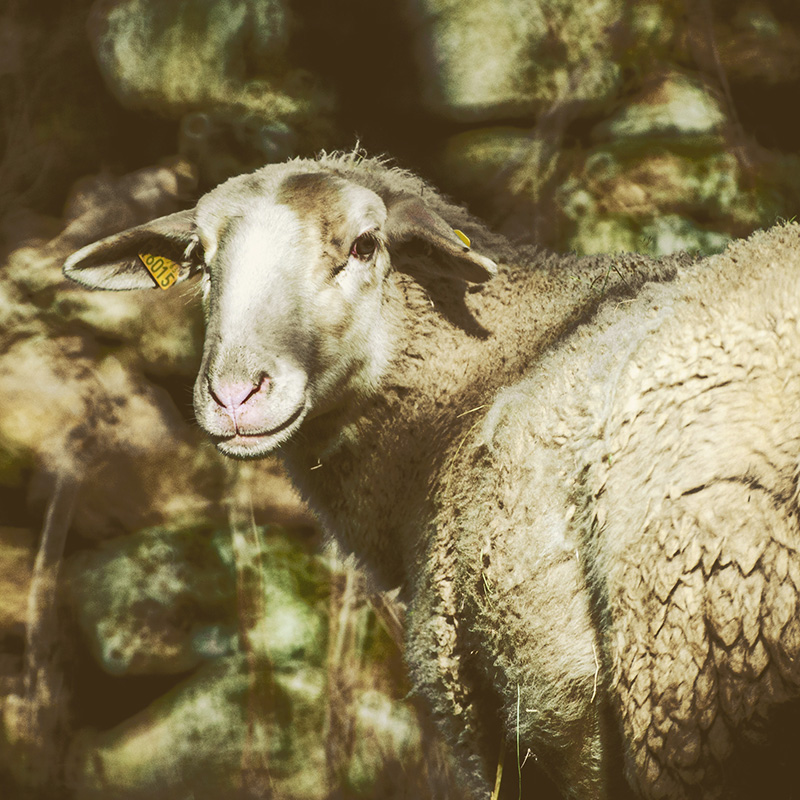 Découvrez la saison culturelle 2026 Découvrez la saison culturelle 2026