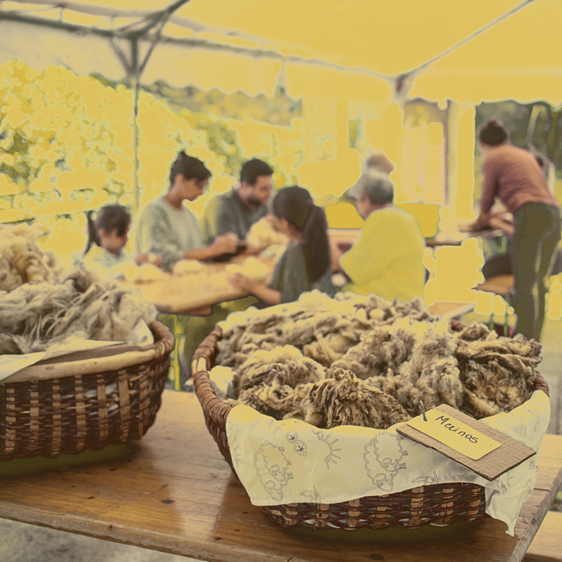 Les visites guidées d'Ardelaine Les visites guidées d'Ardelaine