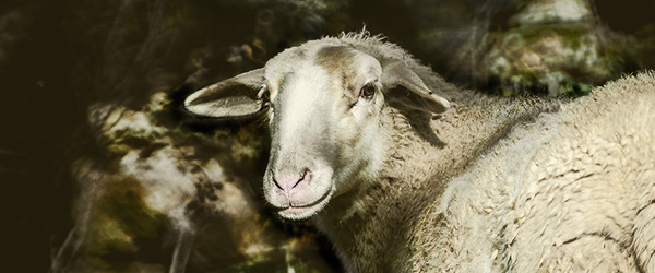 Consultez le programme de la saison culturelle 2025 Consultez le programme de la saison culturelle 2025