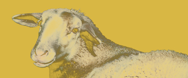 Consultez le programme de la saison culturelle 2025 Consultez le programme de la saison culturelle 2025