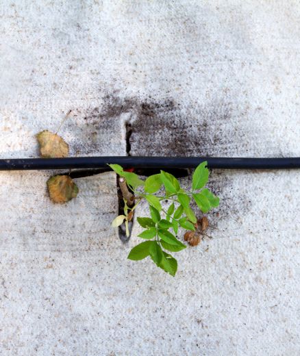 Feutre de paillage 700g/m²