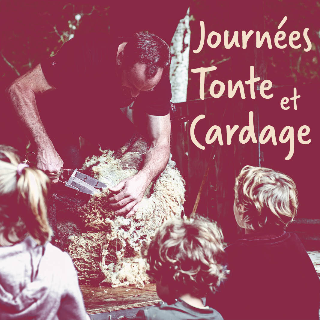 JOURNÉES SPÉCIALES Tonte et Cardage illustration
