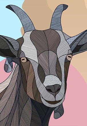 Fête du Picodon à Saoû (26) illustration