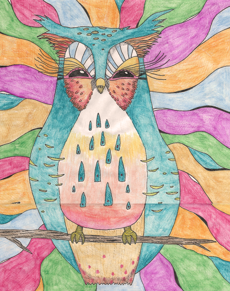 C'est la journée des oiseaux illustration