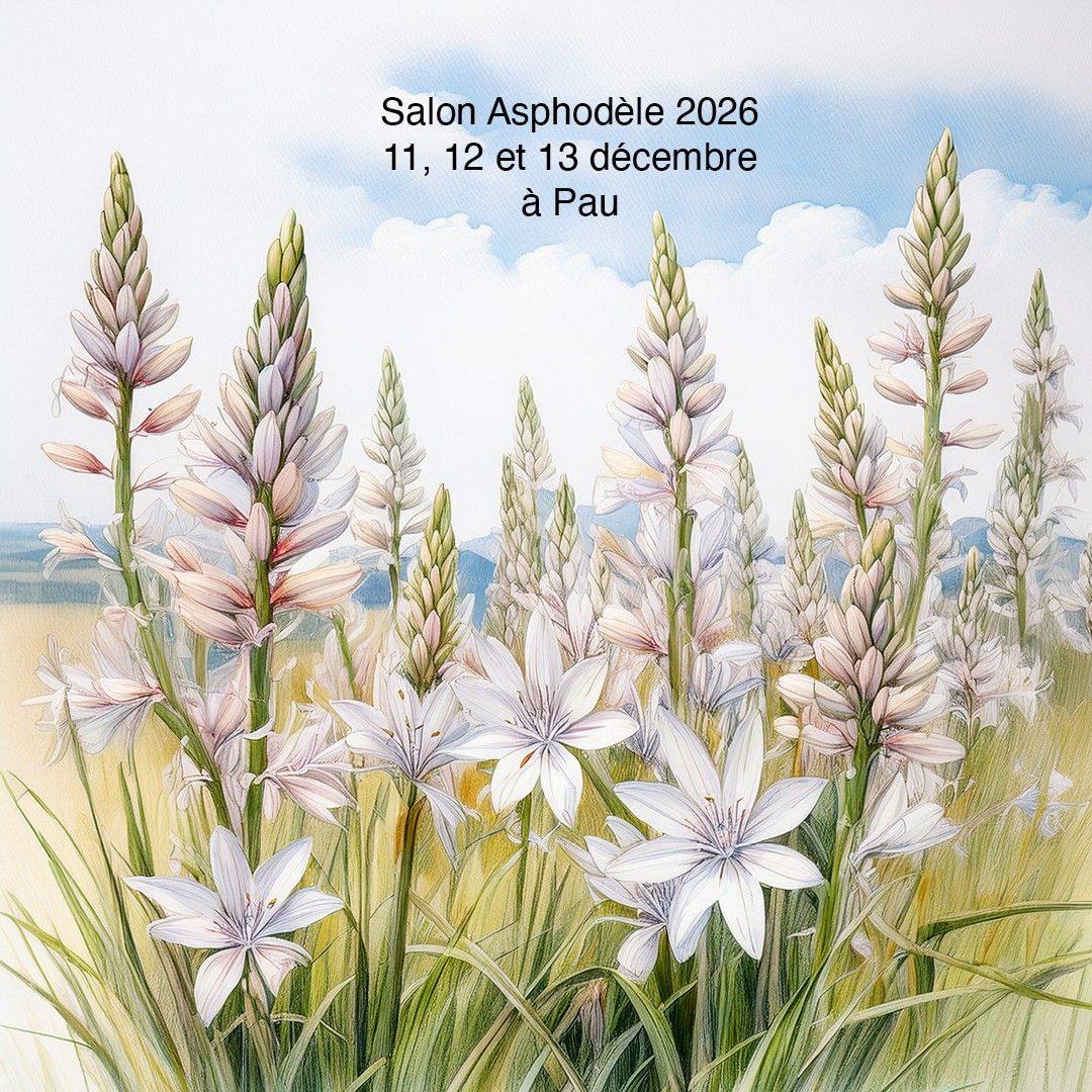 Salon Asphodèle à Pau (64) illustration